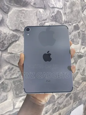 Apple iPad mini (2021) 256 GB Gray