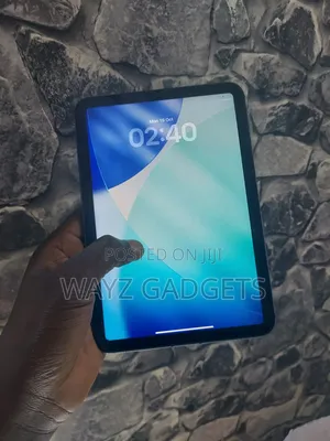 Apple iPad mini (2021) 256 GB Gray