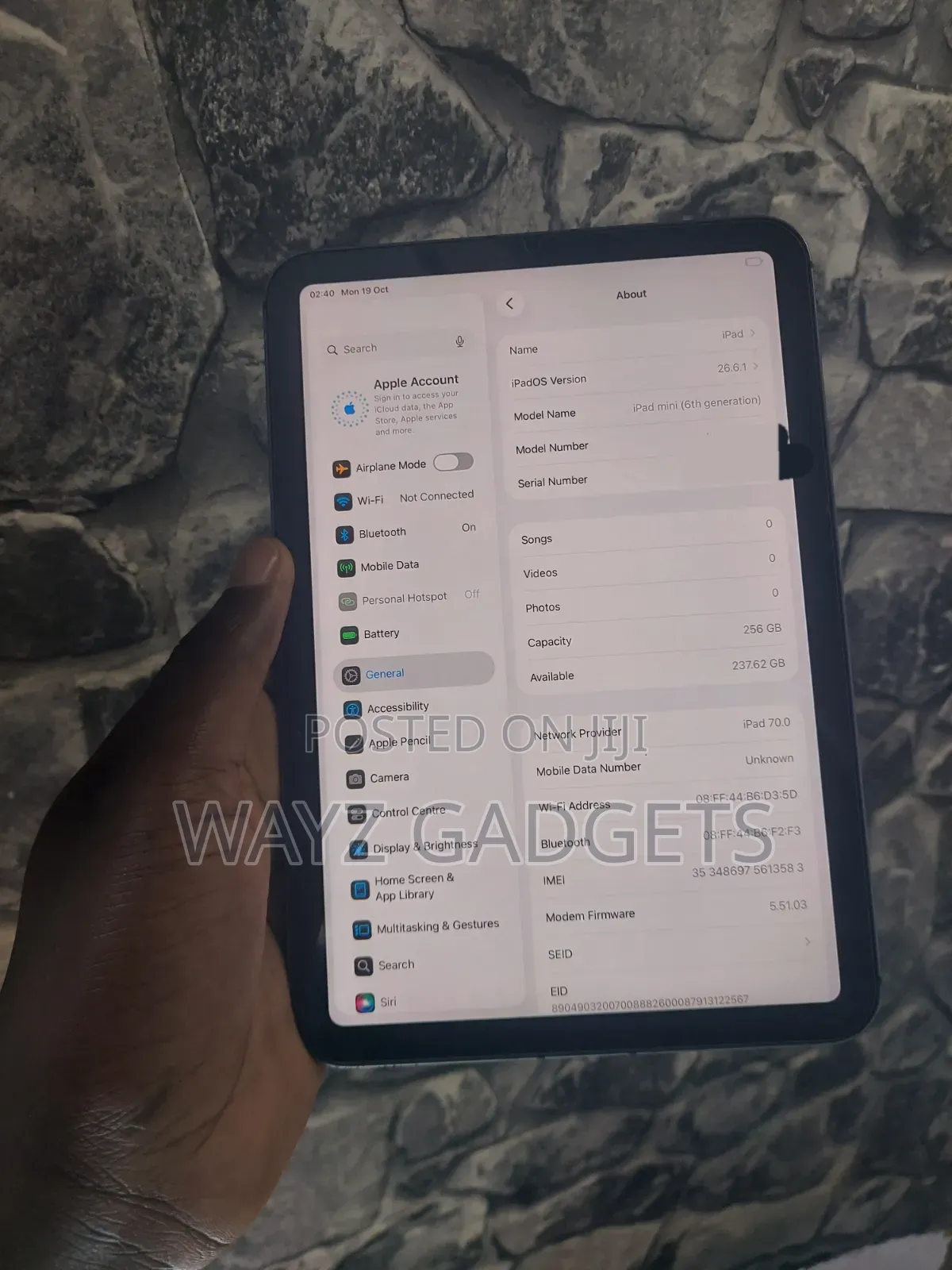 Apple iPad mini (2021) 256 GB Gray