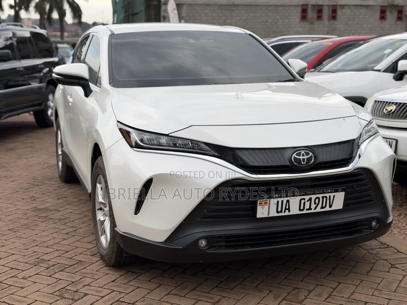 Toyota Harrier 2020 Pearl