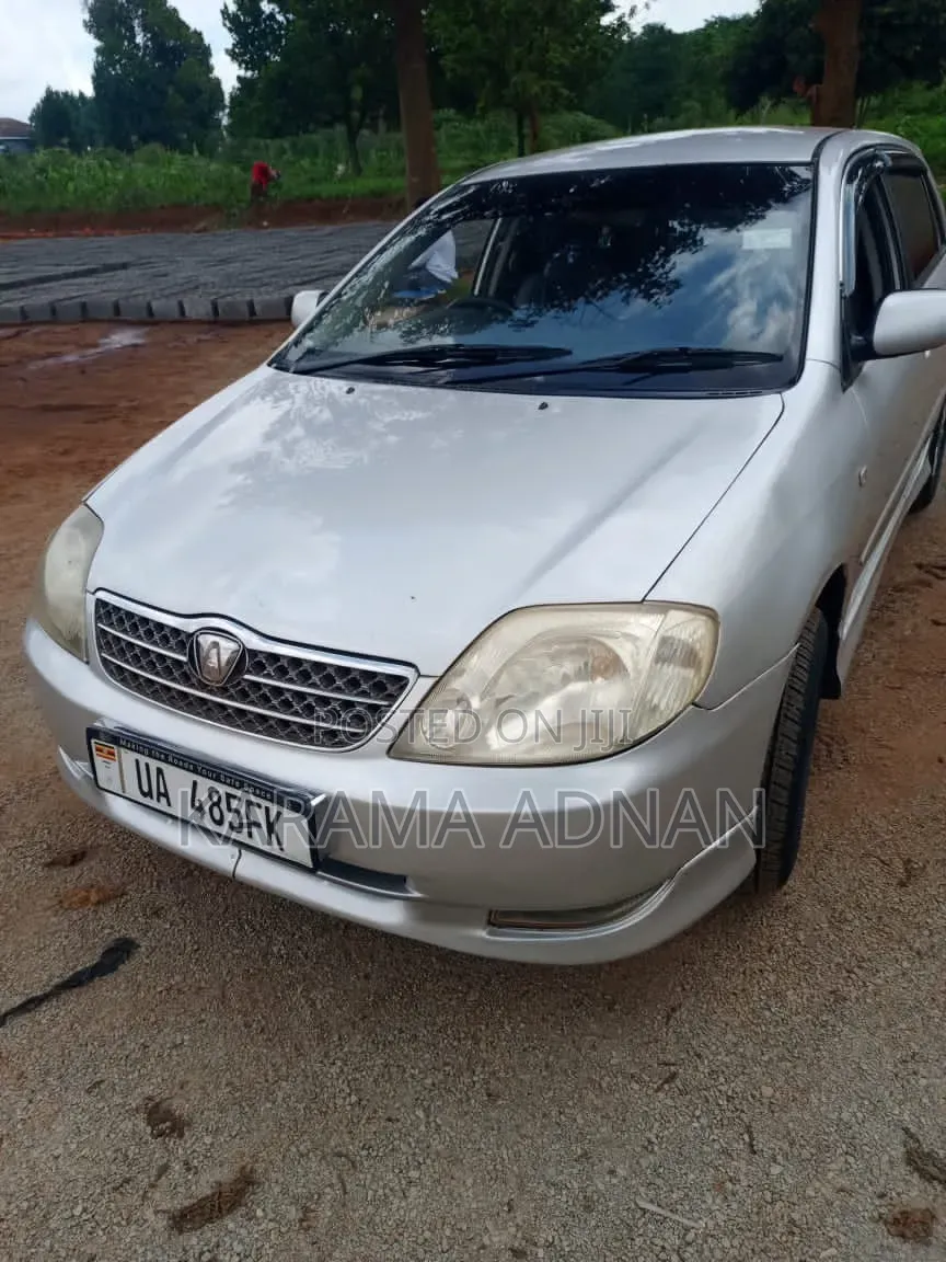 Toyota Allex 2007 Silver