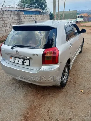 Toyota Allex 2007 Silver