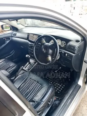 Toyota Allex 2007 Silver