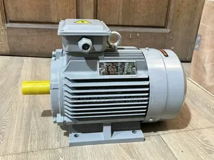 Induction Three Phase 3hp Normal Speed Motor
