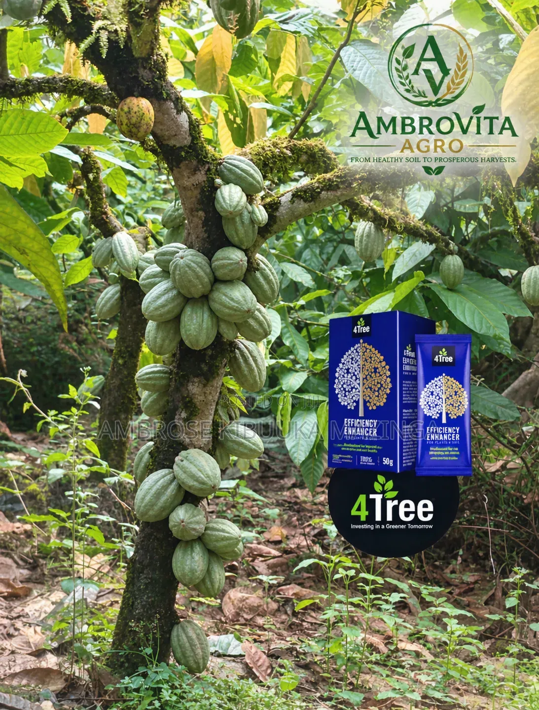 4 Tree Organic Fertilizer Efficiency Enhancer