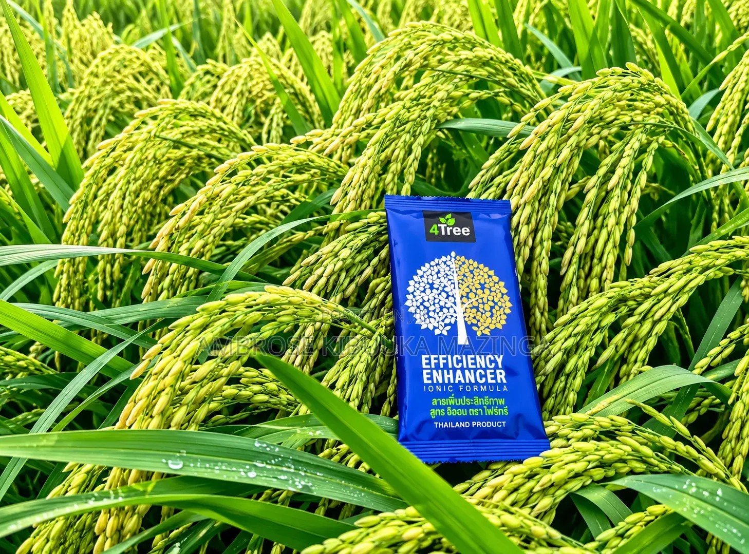 4 Tree Organic Fertilizer Efficiency Enhancer