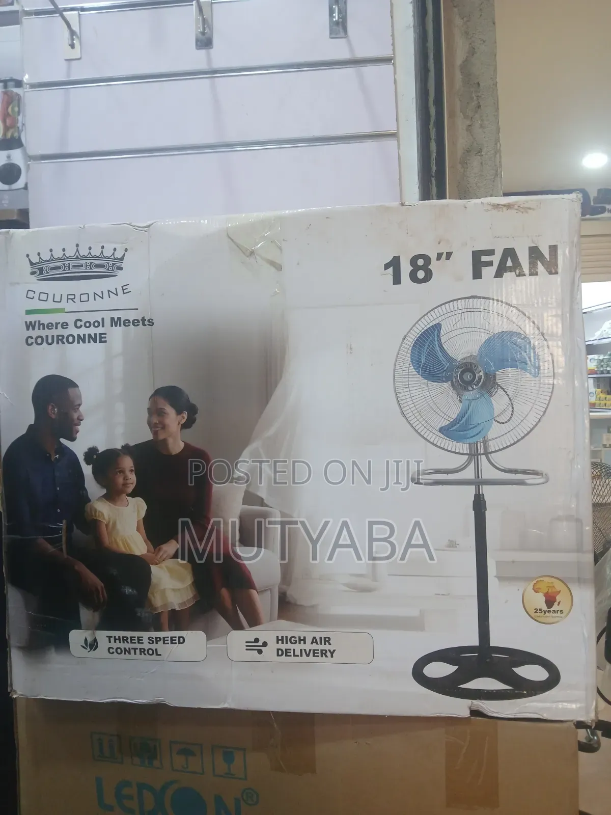 Electric Stand Fan