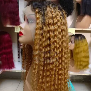 Human Hair Wigs