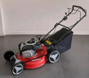 Gasoline Lawn Mower