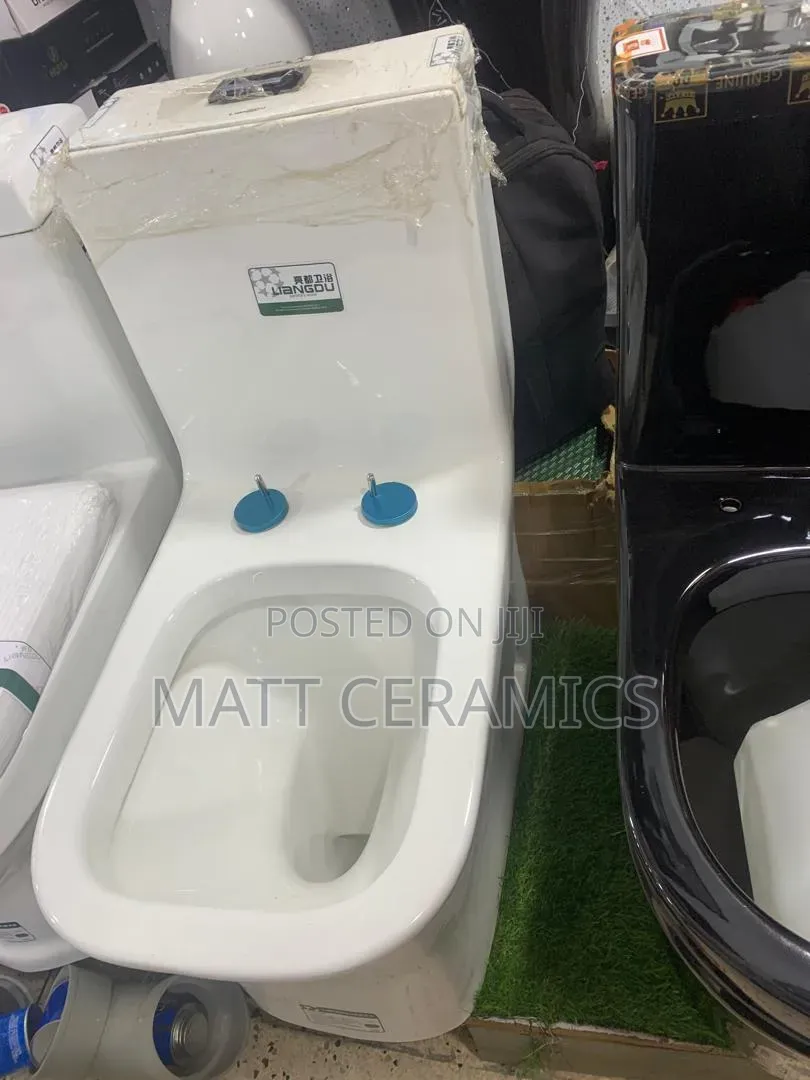 Classy White Toilet Seat
