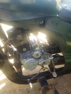 Simba Simba Sumo 200cc 2024 Green