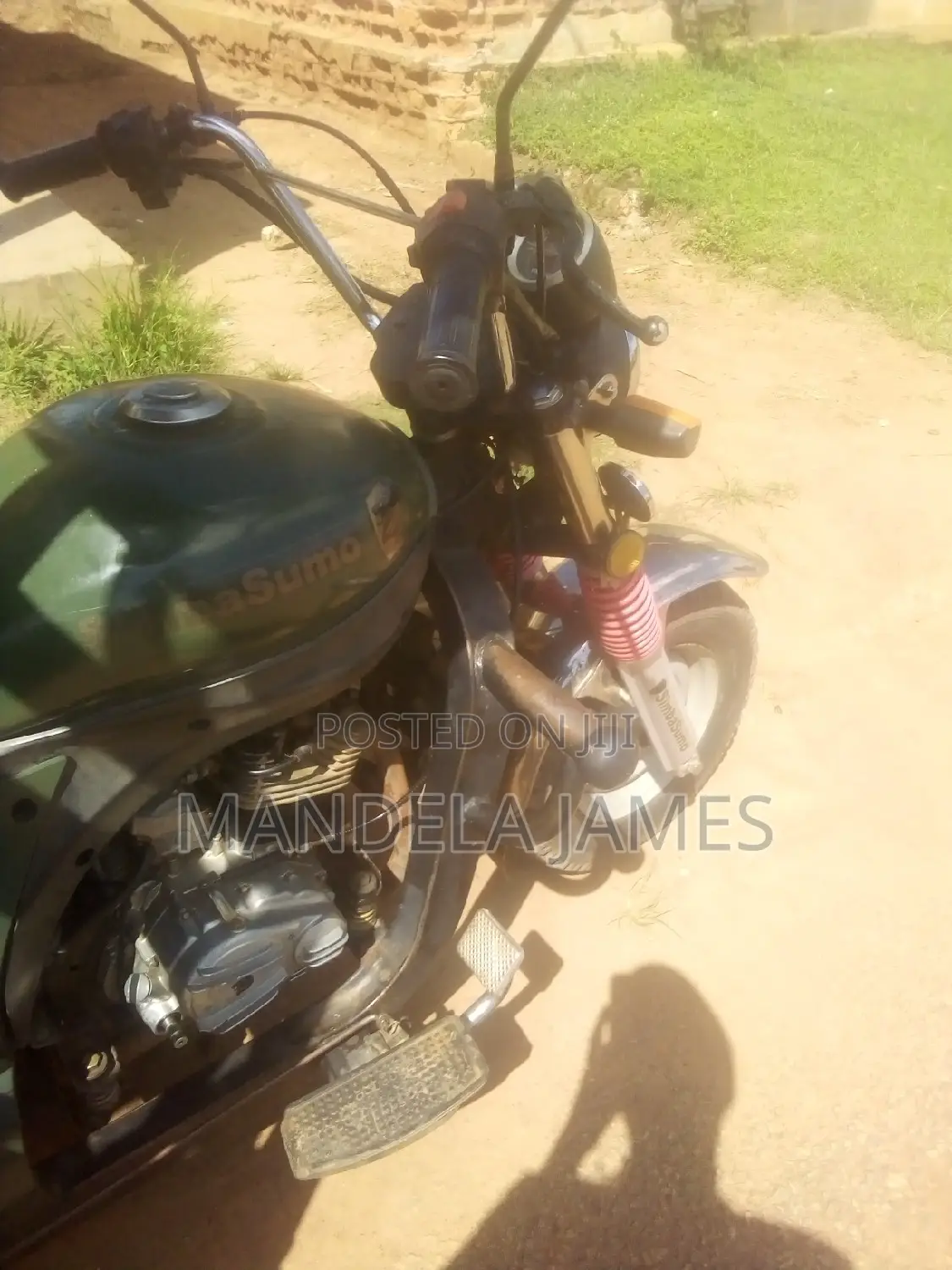 Simba Simba Sumo 200cc 2024 Green