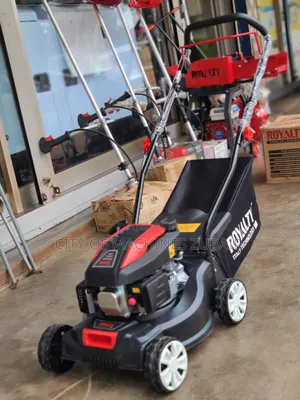 Gasoline Lawn Mower