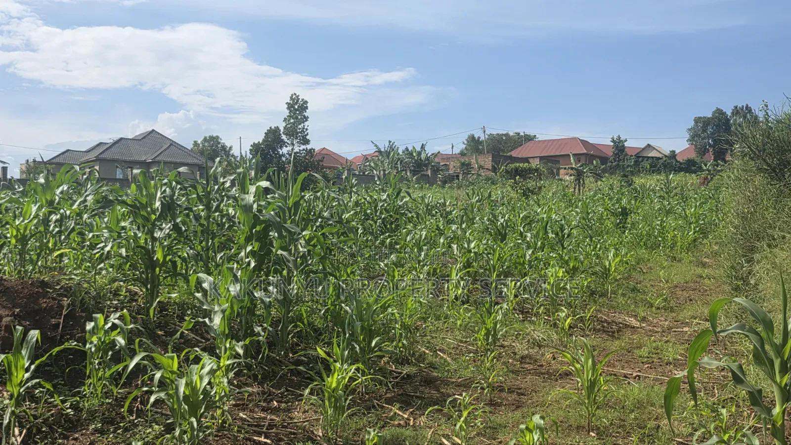 Wakiso Exodus College