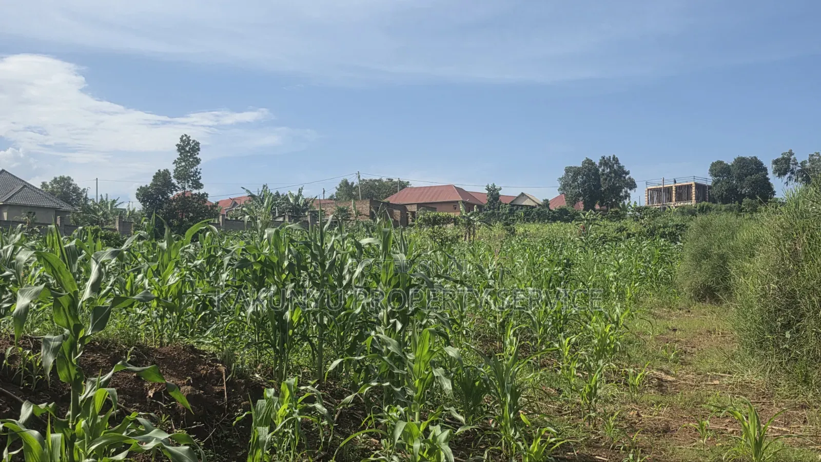 Wakiso Exodus College