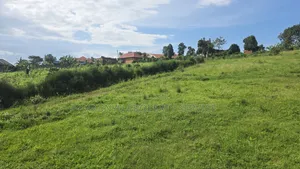 Wakiso Exodus College
