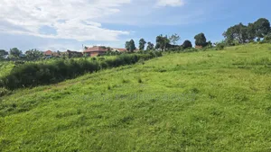 Wakiso Exodus College