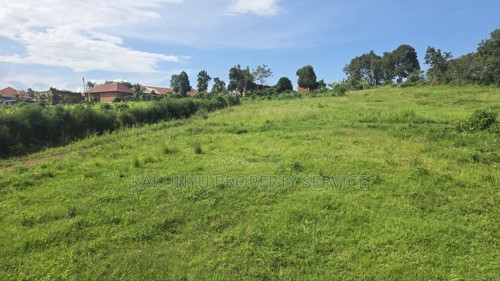 Wakiso Exodus College