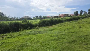 Wakiso Banda