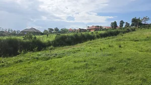 Wakiso Banda