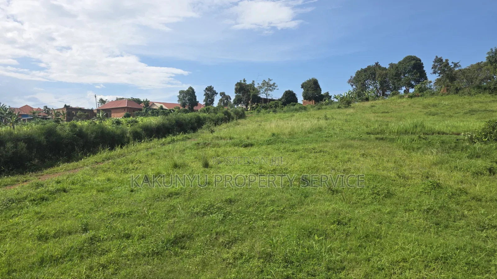 Wakiso Banda
