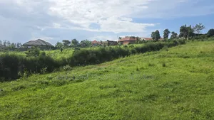 Wakiso Banda