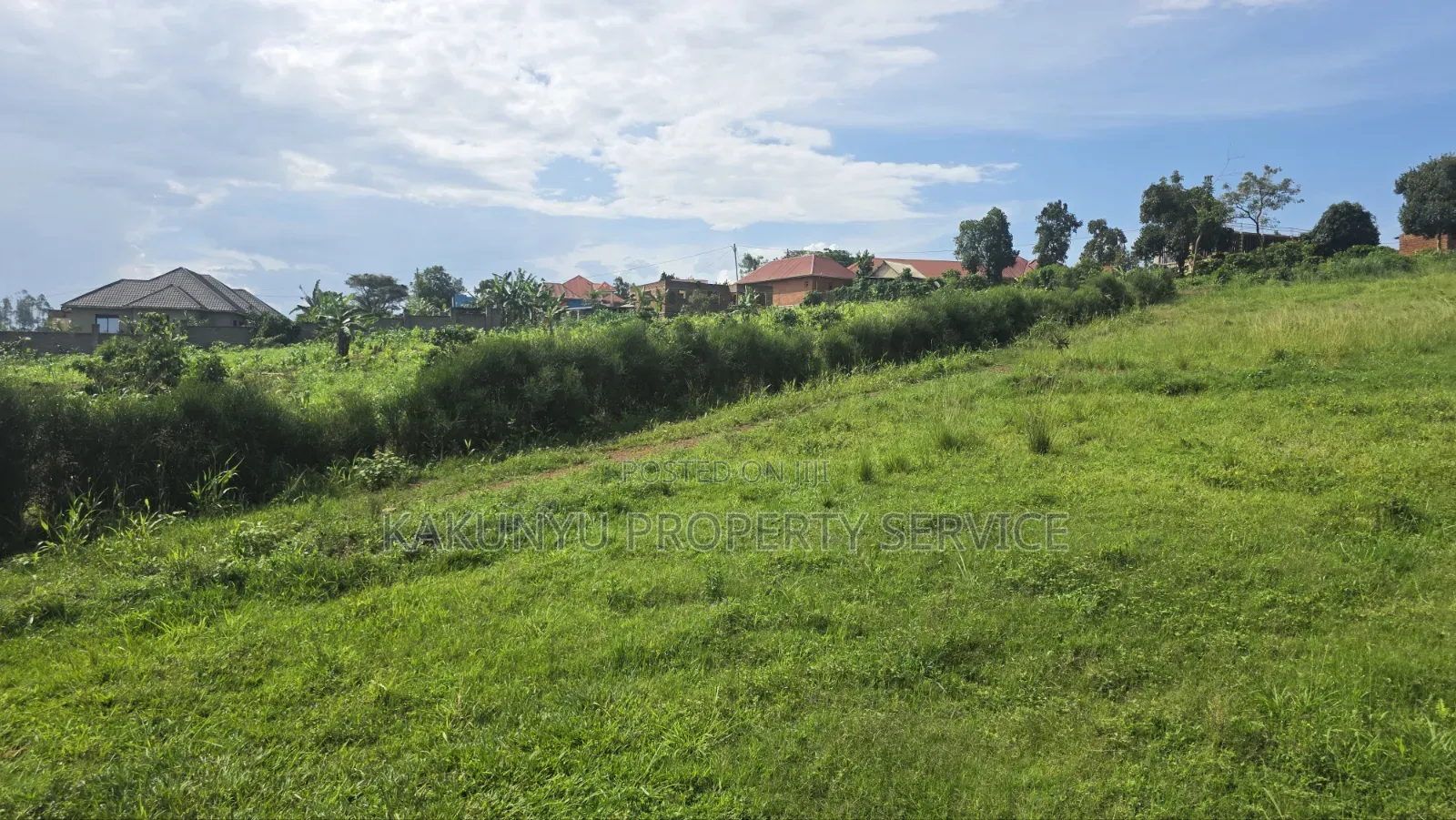 Wakiso Banda