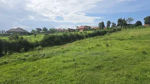 Wakiso Banda
