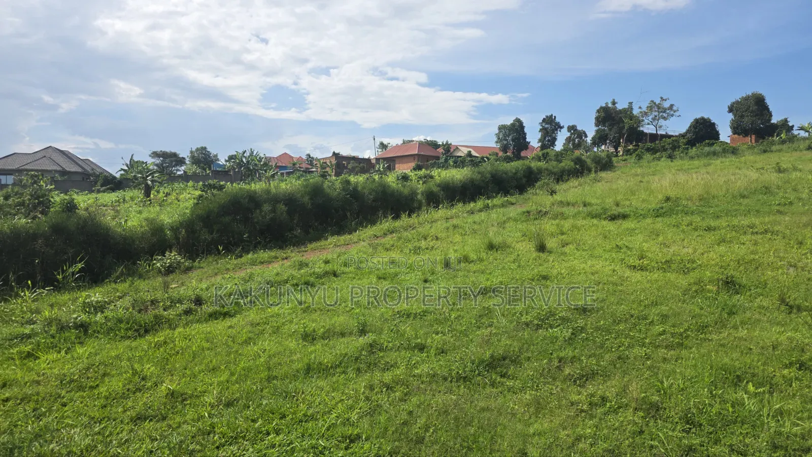 Wakiso Banda