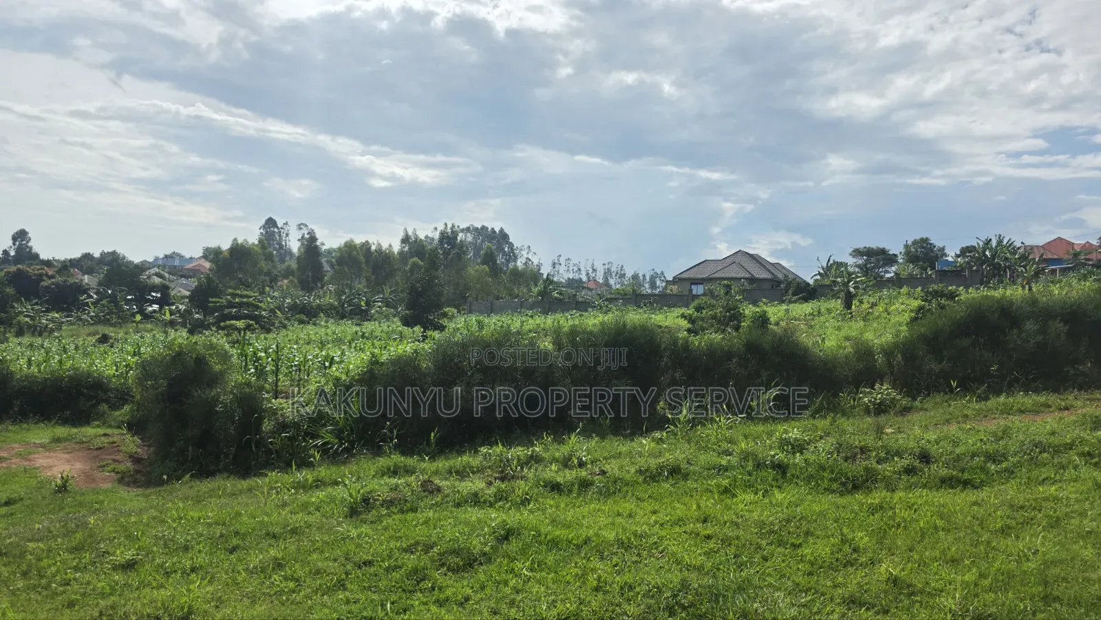 Wakiso New Heights Estate