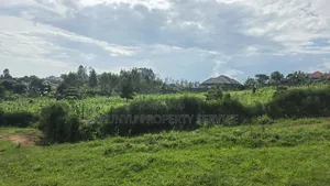 Wakiso New Heights Estate