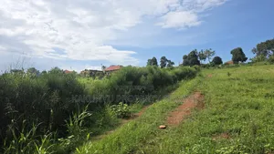 Wakiso New Heights Estate