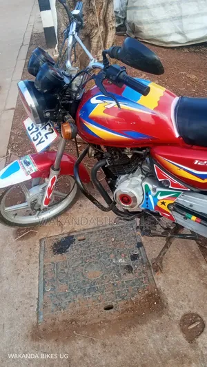 Bajaj Boxer 125 2024 Red