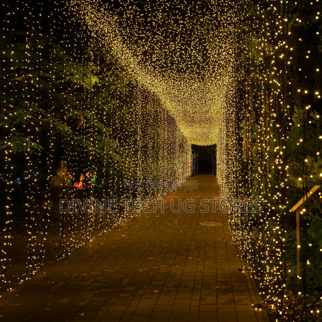 Genuine 100m Christmas Decoration Lights for Festive Seasons