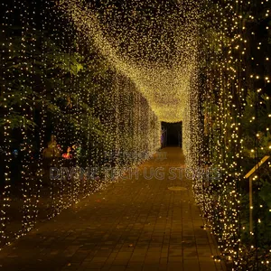 Genuine 100m Christmas Decoration Lights for Festive Seasons