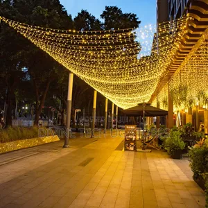 Genuine 100m Christmas Decoration Lights for Festive Seasons