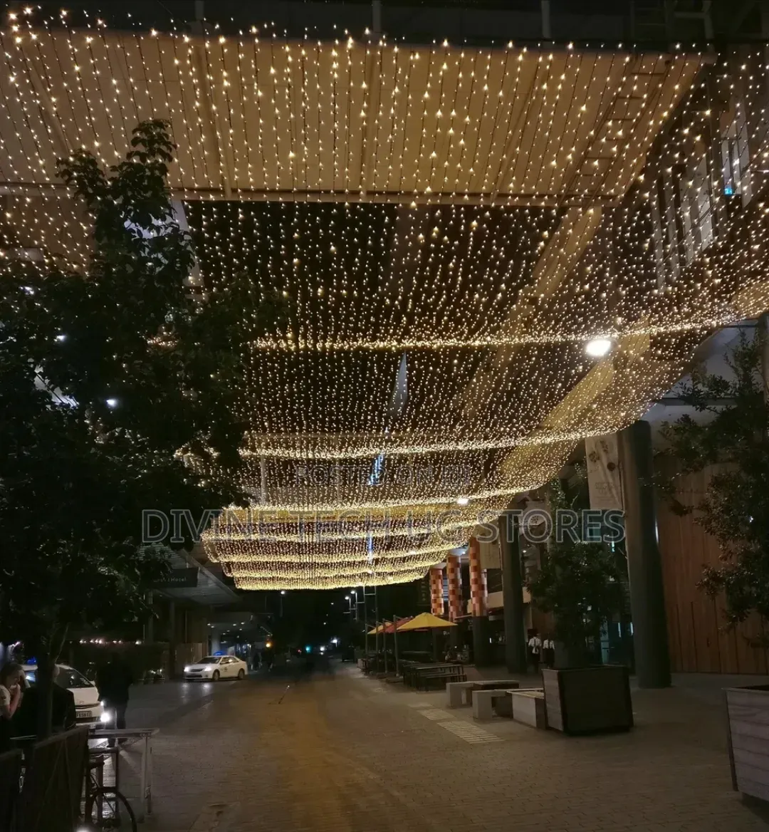 Genuine 100m Christmas Decoration Lights for Festive Seasons