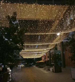 Genuine 100m Christmas Decoration Lights for Festive Seasons
