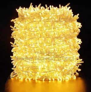 Genuine 100m Christmas Decoration Lights for Festive Seasons