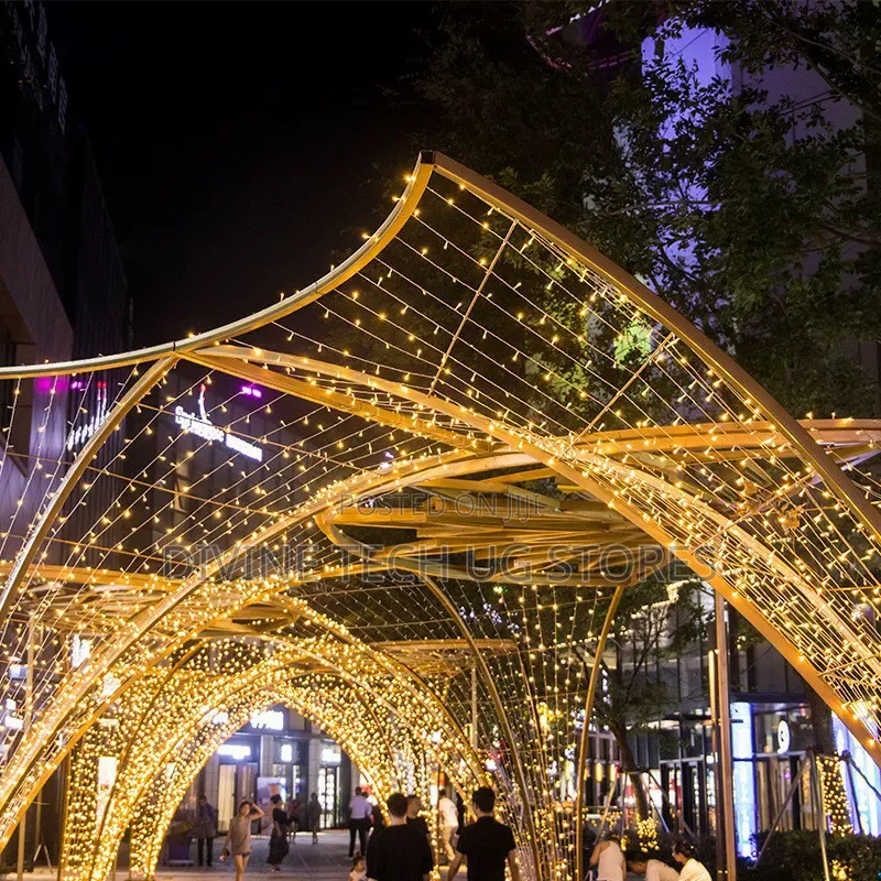 Genuine 100m Christmas Decoration Lights for Festive Seasons