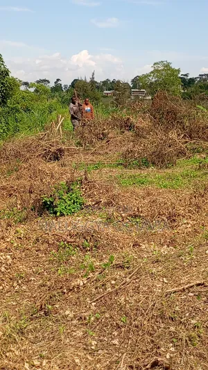Plot for Sale in Wabinja, Wakiso 50x100 - 17M Titled