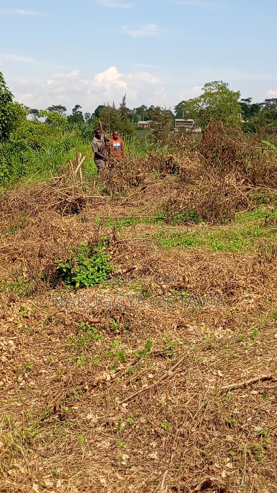 Plot for Sale in Wabinja, Wakiso 50x100 - 17M Titled