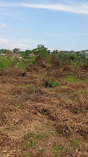 Plot for Sale in Wabinja, Wakiso 50x100 - 17M Titled
