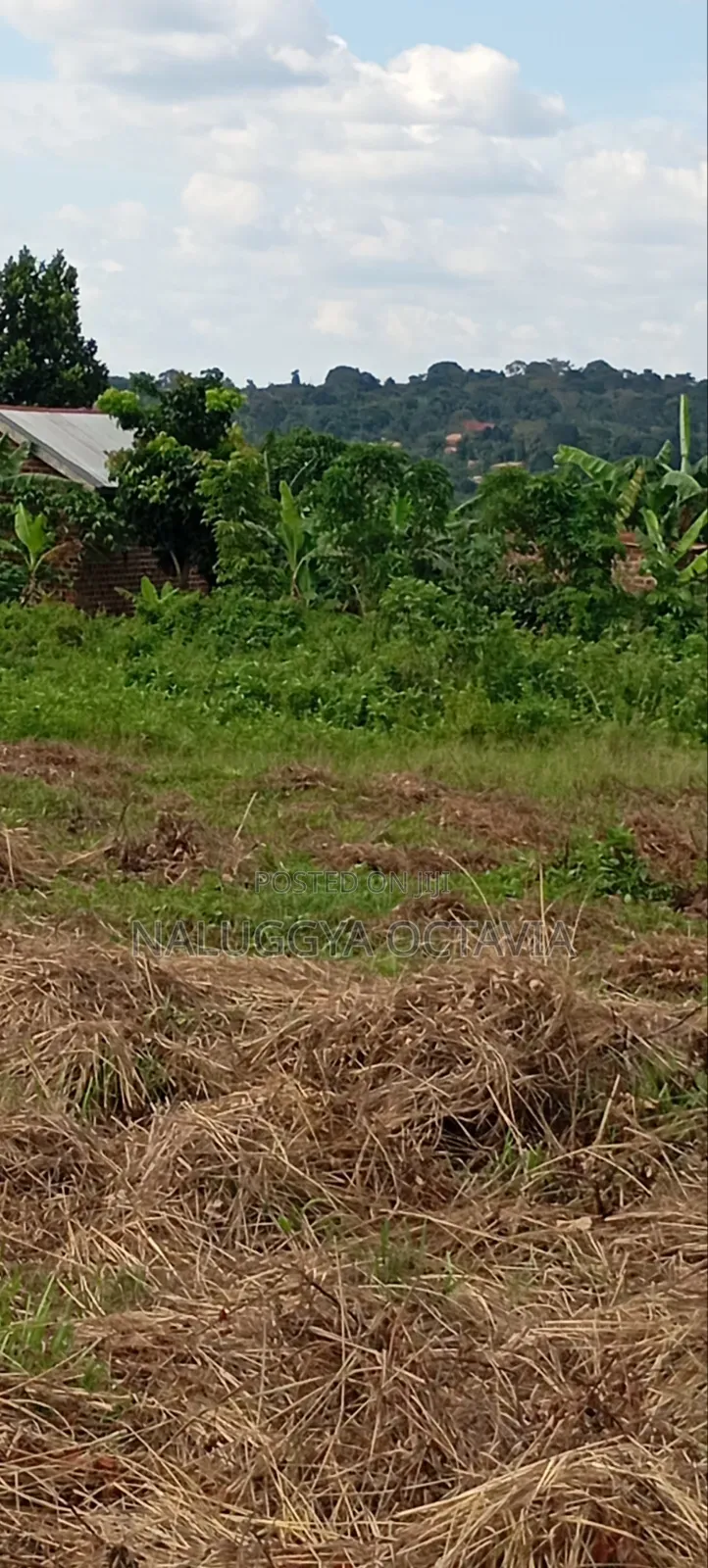 Plot for Sale in Wabinja, Wakiso 50x100 - 17M Titled