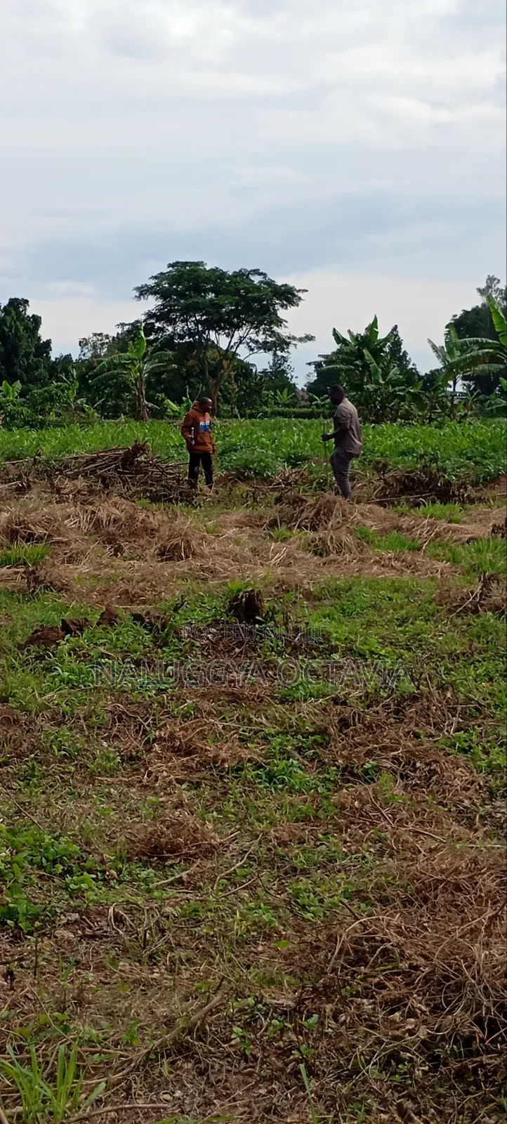 Plot for Sale in Wabinja, Wakiso 50x100 - 17M Titled