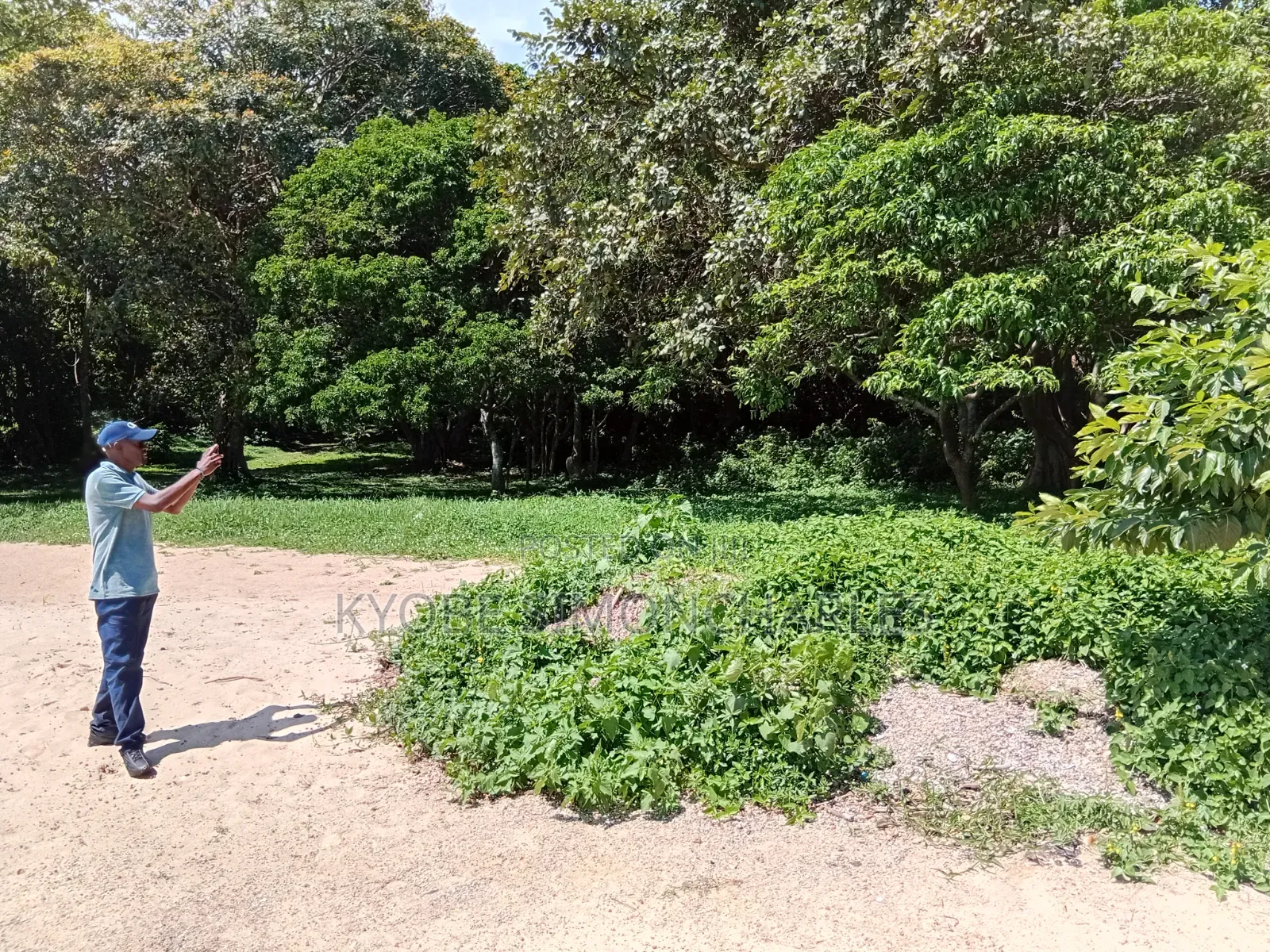 19 Acres Investment Land in Garuga on Sale