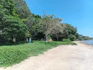 19 Acres Investment Land in Garuga on Sale