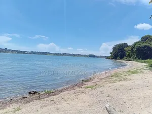 19 Acres Investment Land in Garuga on Sale