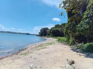 19 Acres Investment Land in Garuga on Sale