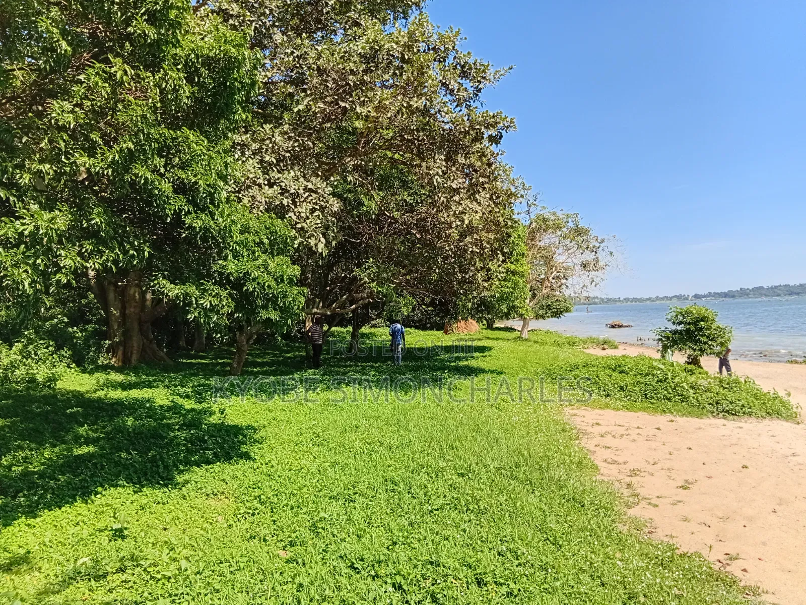 19 Acres Investment Land in Garuga on Sale